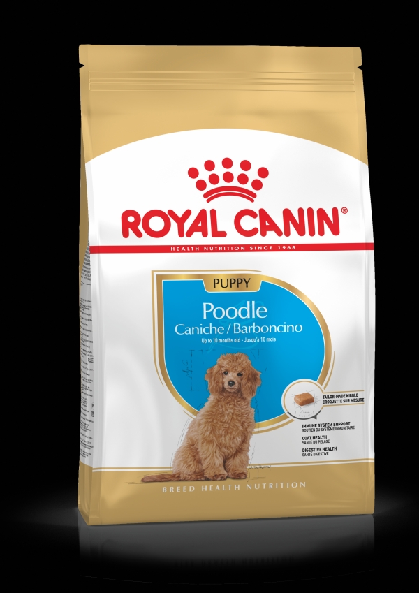 educar cocinar Histérico Royal Canin Poodle Junior 3 Kg